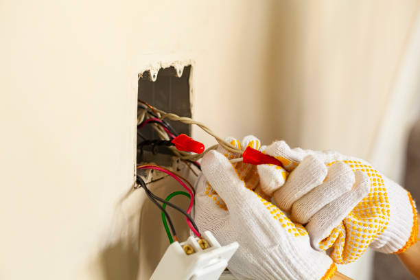 Best Surge Protection Installation  in Safety Harbor, FL